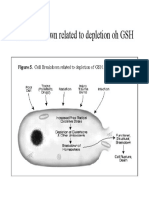 Copy Temic Protectant Against Oxidative and Free Radical Damage