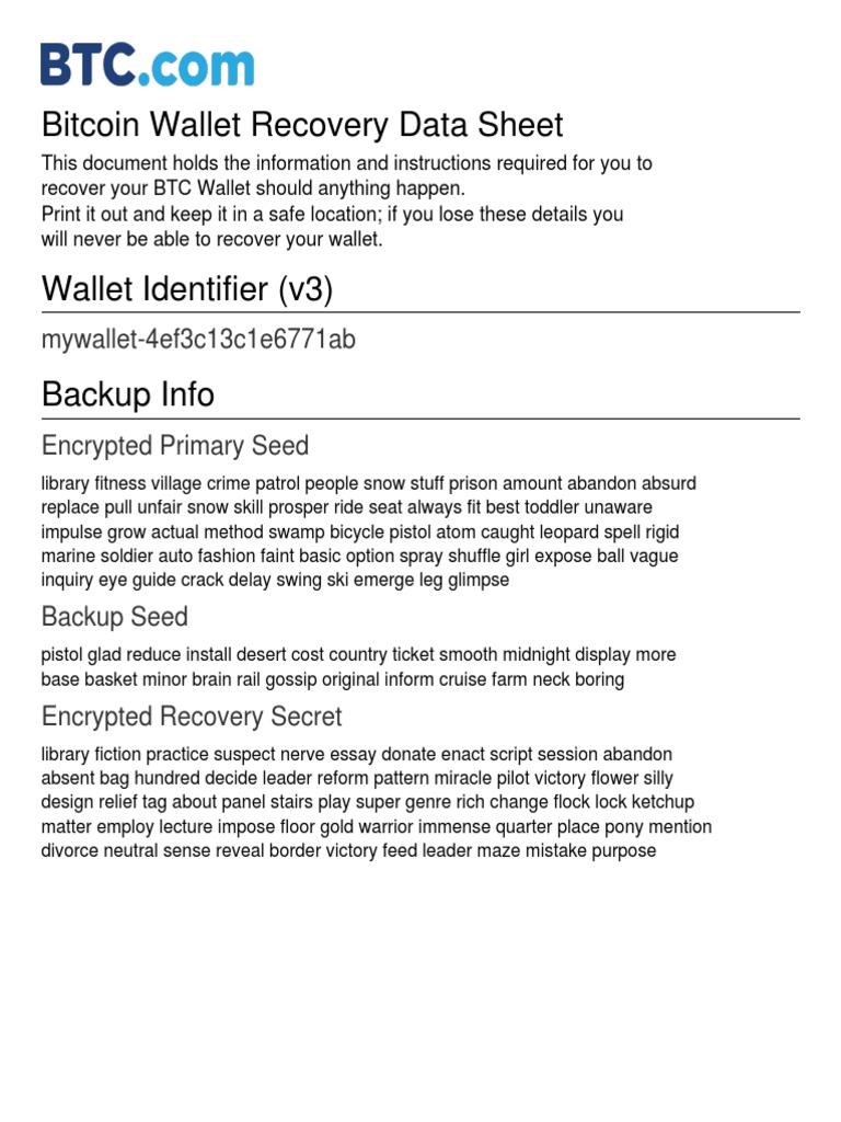 Bitcoin Wallet Recovery Guide | PDF | Computers