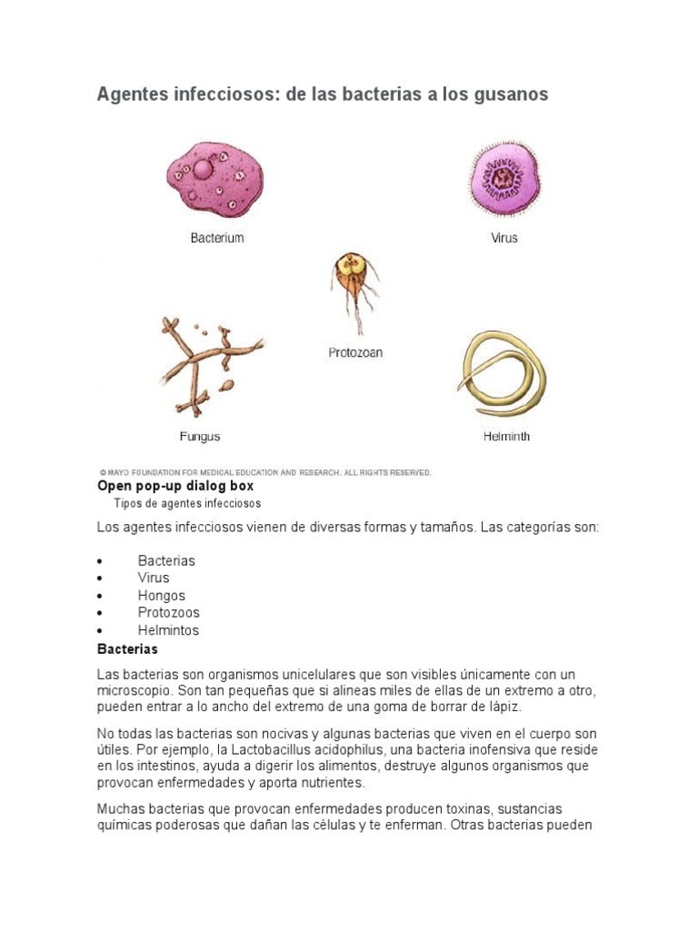 Agentes Infecciosos | PDF | Virus | Las bacterias