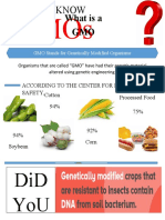 GMO1