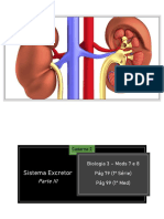 1 Série e 1 Med_Cad 2_Bio 3_Mods 7 e 8_Sistema Excretor_Parte 3 (1)