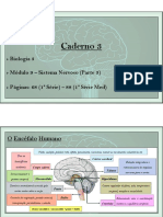 1 Série e 1 Med - Cad 3 - Bio 3 - Mod 9 - Sistema Nervoso - Parte 3