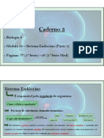 1 Série e 1 Med - Cad 3 - Bio 3 - Mod 10 - Sistema Endócrino - Parte 1.1