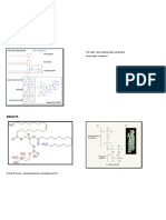 BIOCHEMLAB-LIPIDS