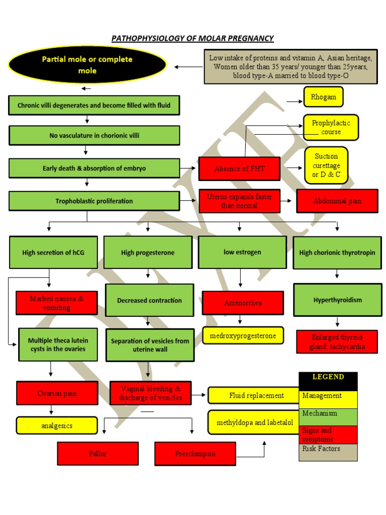 Partial Mole or Complete Mole: Pathophysiology of Molar Pregnancy | PDF