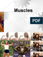 Muscles 1
