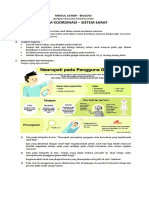 Modul 18 BDR (Sistem Saraf) - ESD