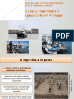 2.4 Rec. Marítimos II - Atividade Piscatória Em Portugal 20-21