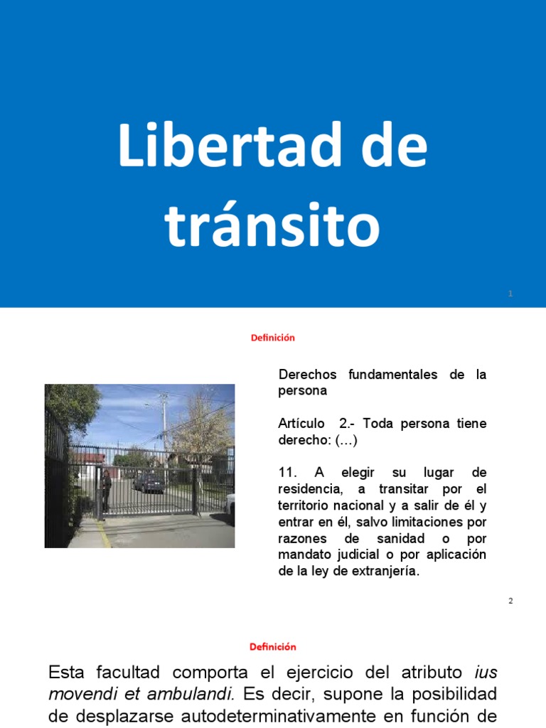 Libertad de Tránsito Al 20 de Junio | PDF | Extranjero (Ley) | Propiedad