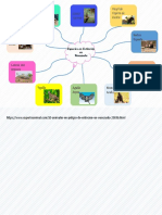 Mapa Mental 2 Especies en Extinción en Venezuela