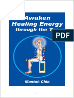 DL-B01 Awaken Healing Energy Throught the Tao