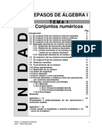 Unidad 1 - Tema 1 - Conjuntos Numéricos