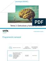 Tema 3. Estructura y Función Del SNC I