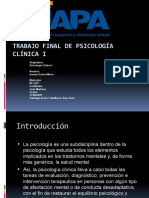 Trabajo Final de Psicología Clínica I (1)