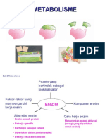 Bab 2 Metabolisme