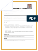 CV Marco Antonio Molina Valdes