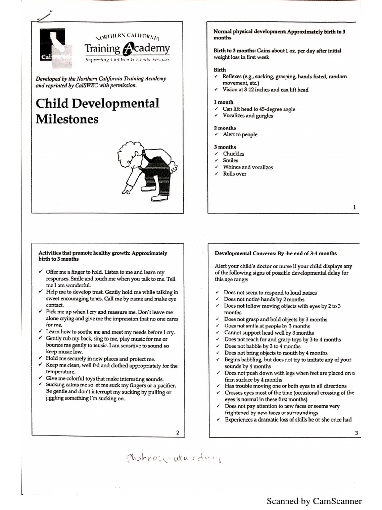Developmental Milestones | PDF