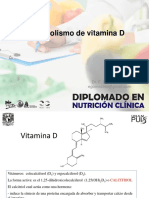 Vitamina D 2020