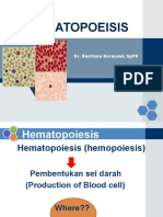 Pk Hemopoeisis 24 Okt 12 Dr Bastiana