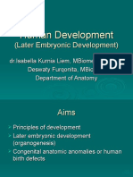Human Development - Organogenesis