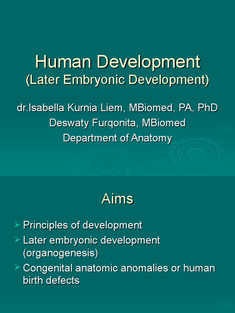 Human Organogenesis and Birth Defects | PDF | Developmental Biology ...