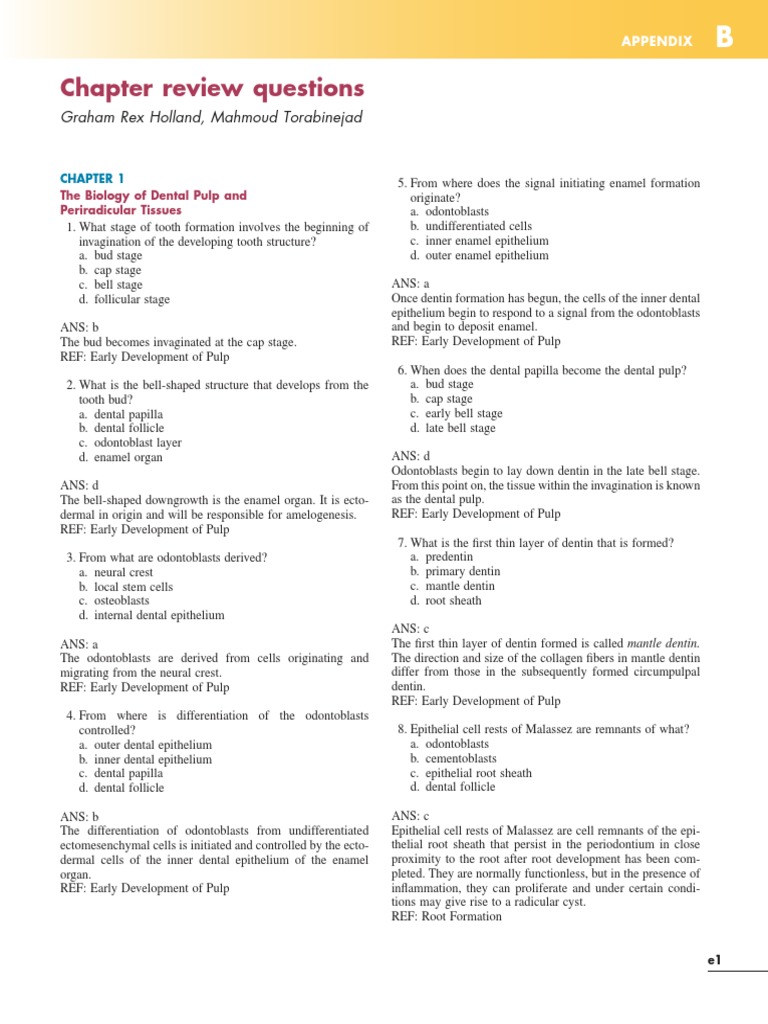 Endodontics MCQs PDF Dentin Human Tooth