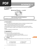 Female Reproductive System Worksheet - Answers | PDF