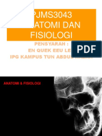 1.pengenalan Anatomi PDF