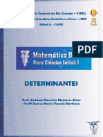 Determinantes: propriedades e cálculo