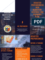 Disaster Preparedness Risk Reduction, Response and Recovery Plan