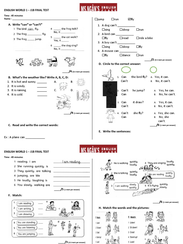 English World 1 Final Test | PDF