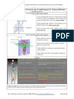 20210118_Riferimenti Anatomici Per La Meditazione_seconda Gerarchia