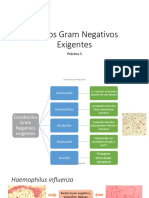 6-Bacilos Gram Negativos Exigentes