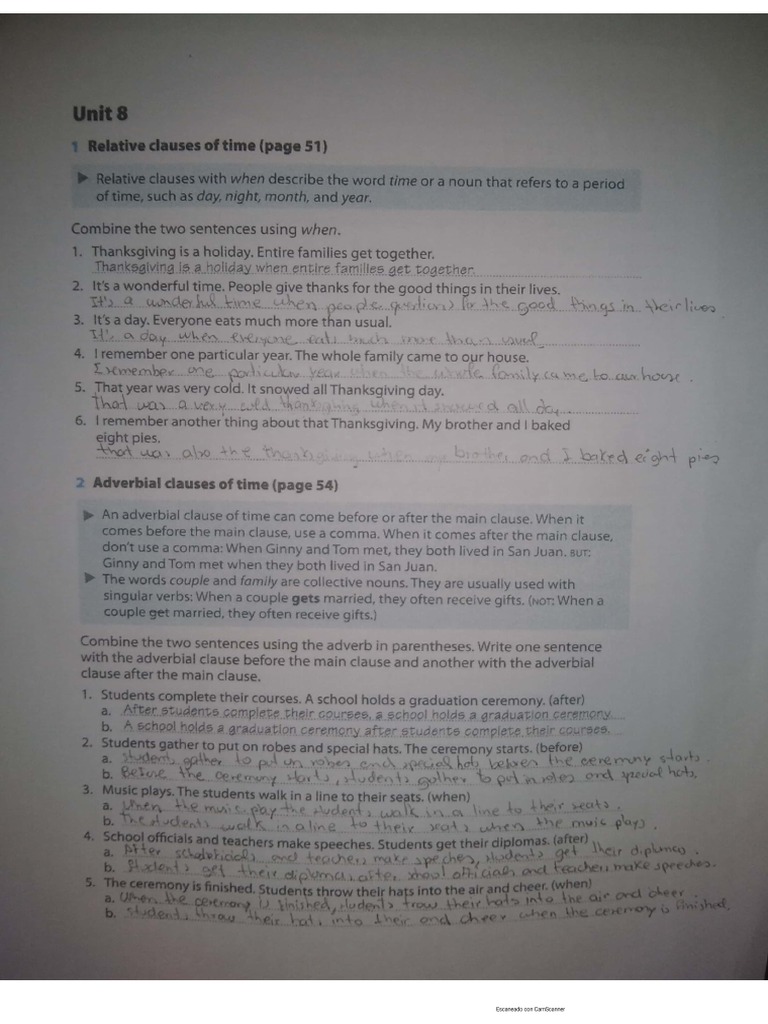 Unit 8 Grammar Plus - 1 | PDF