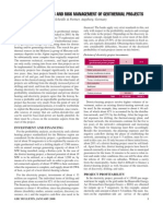 Profitability Analysis and Risk Management of Geothermal Projects