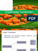 Organologi Tumbuhan