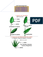 Download Botany_Terminology by Sashka Toncheva SN49320820 doc pdf
