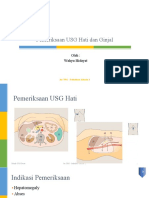 Teknik Pemeriksaan USG Hati & Ginjal