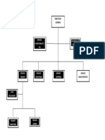 Organigramme Snat Sa