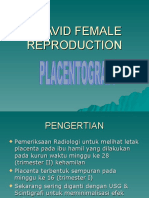 Placentografi (Siti M)