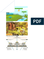 Componentes Abióticos