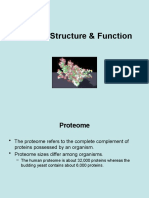 Protein Structure & Function