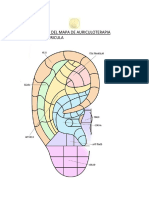 Mapas de Auricula