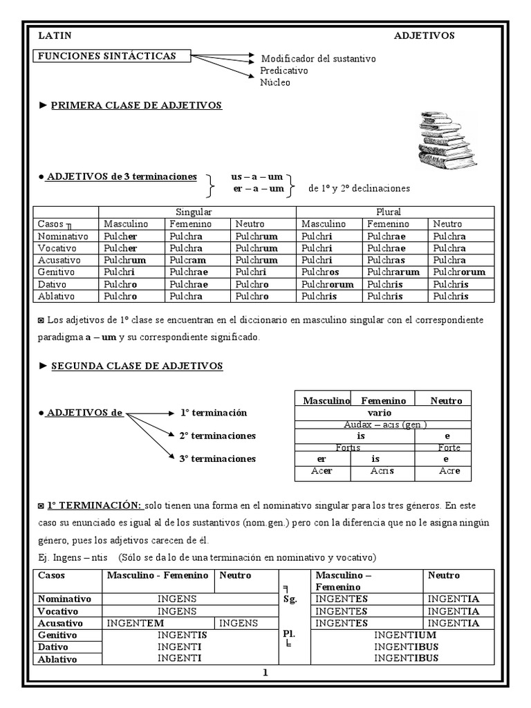 Adjetivos Latin | PDF | Género gramatical | Adjetivo