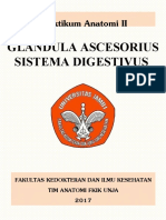Praktikum Anatomi II: Glandula Ascesorius Sistema Digestivus