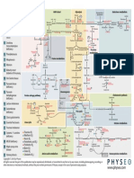 412989579-6-Biochemistry-Map (3)