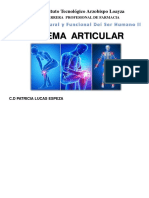 Sistema Articular