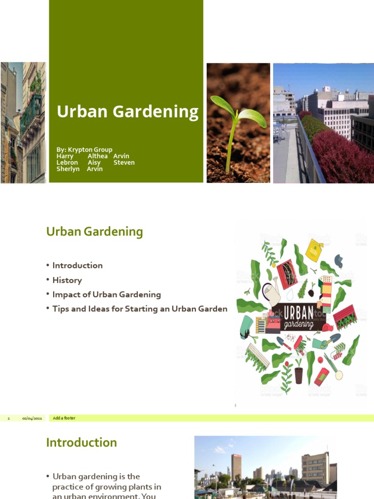 The Benefits of Urban Gardening: A Guide to Starting Your Own Urban ...