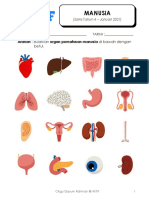 Work Sheet Tahun 4 Sains Manusia (Isnin - 11 Jan 2021)