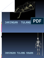 JARINGAN TULANG